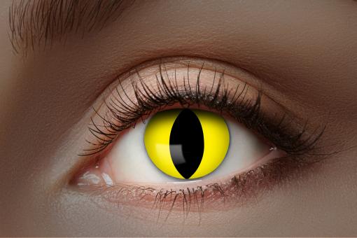 UV Kontaktlinsen / UV Yellow Cat / 1 Monatslinse 