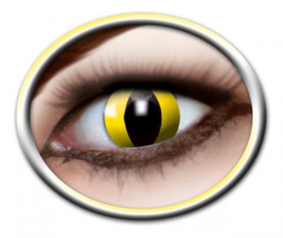 Motiv Kontaktlinsen / Yellow Cat 3-Monatslinsen 